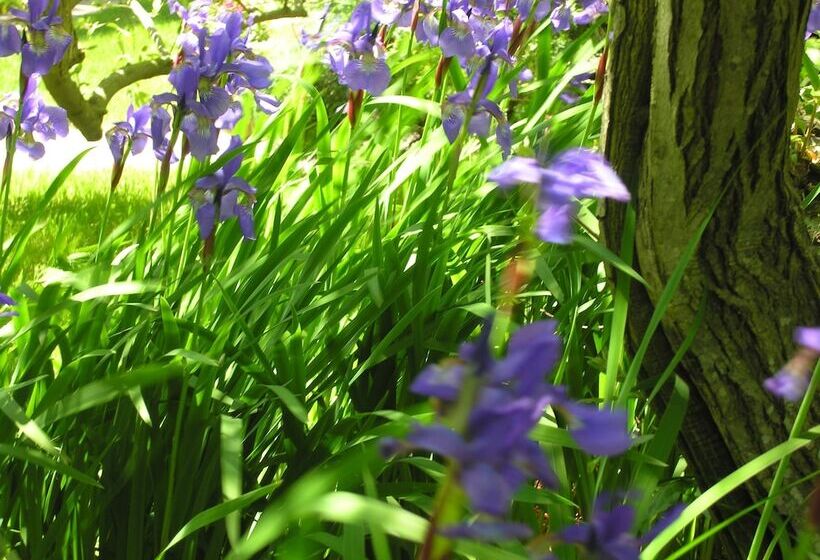 Delano Homestead Bed And Breakfast