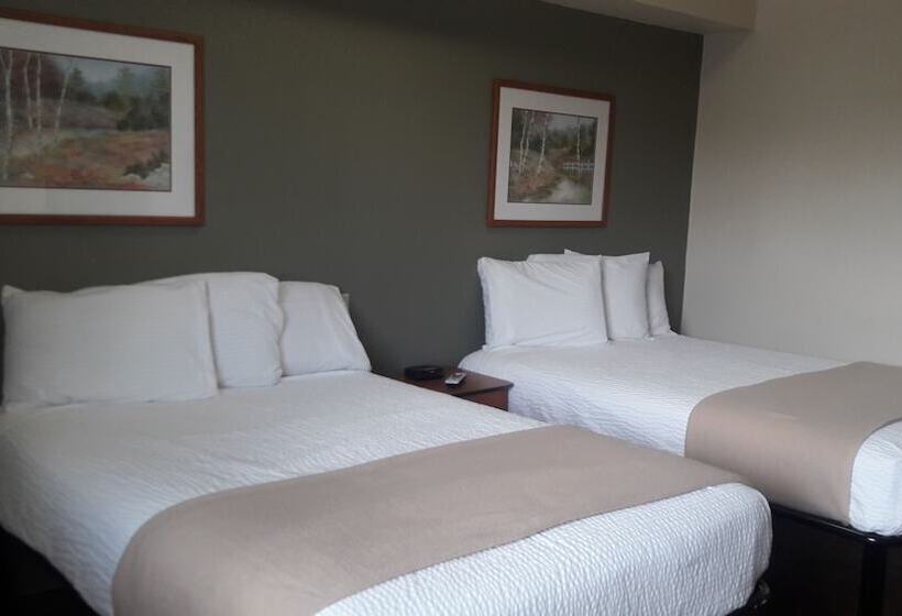 فندق Best Studio Inn Homestead