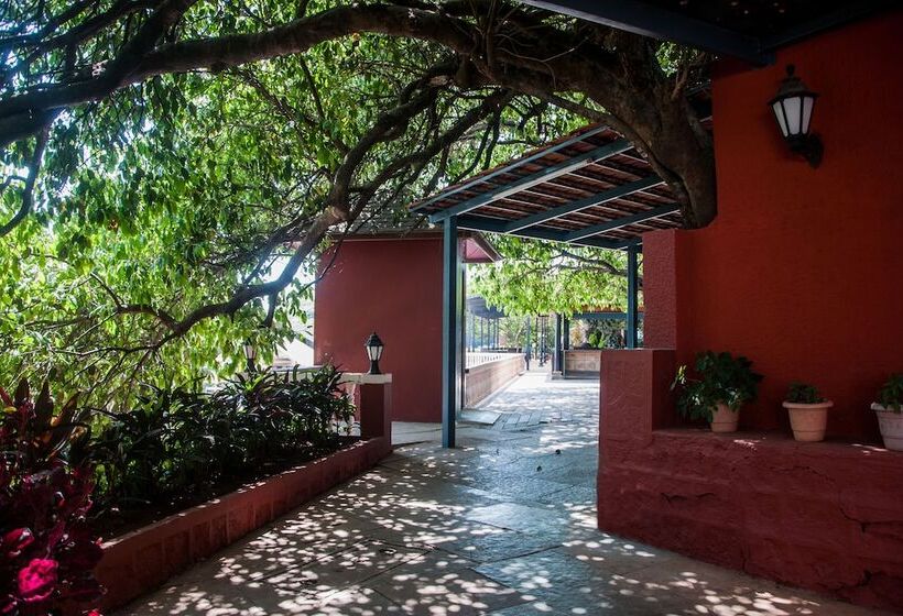 Отель Brightland Resort & Spa