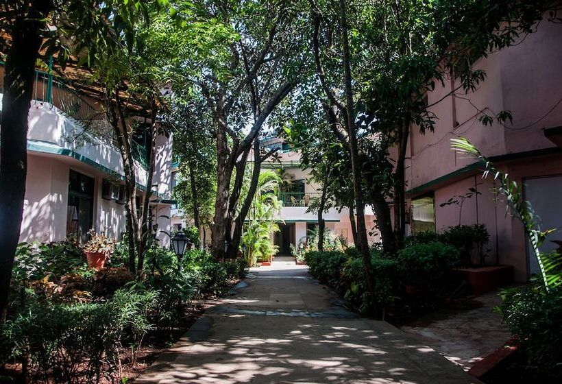 Отель Brightland Resort & Spa