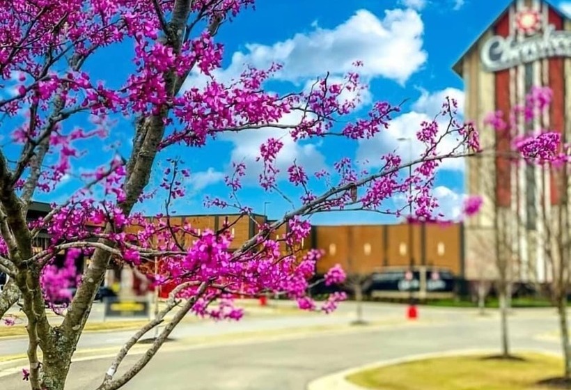 Cherokee Casino Hotel Roland