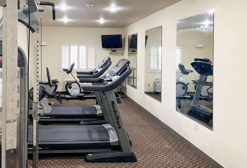 酒店 Comfort Inn & Suites Thatcher   Safford