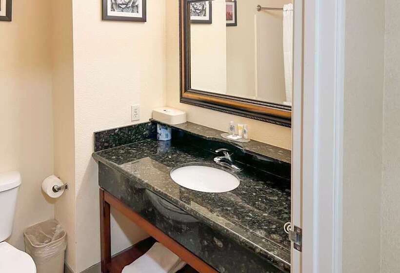 酒店 Comfort Inn & Suites Thatcher   Safford