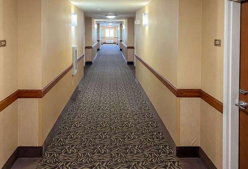 酒店 Comfort Inn & Suites Thatcher   Safford