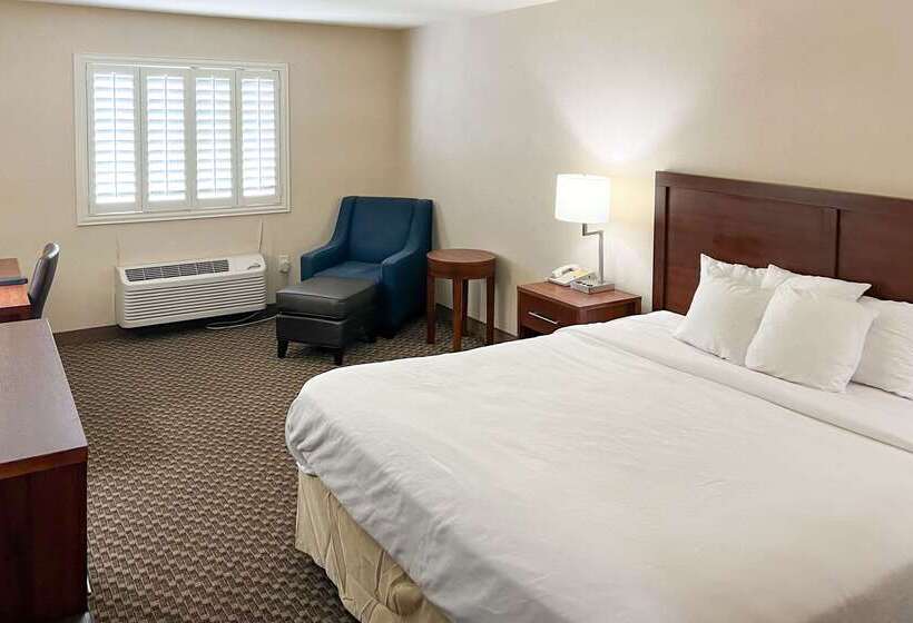 酒店 Comfort Inn & Suites Thatcher   Safford