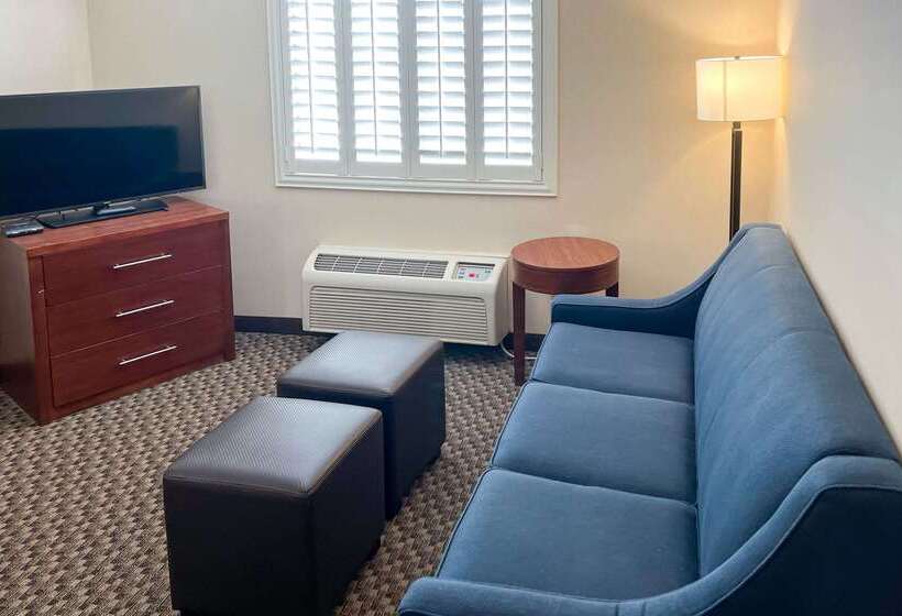 酒店 Comfort Inn & Suites Thatcher   Safford