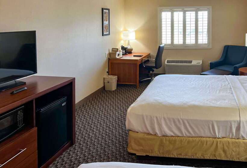 酒店 Comfort Inn & Suites Thatcher   Safford