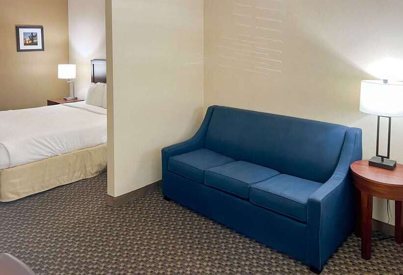 酒店 Comfort Inn & Suites Thatcher   Safford