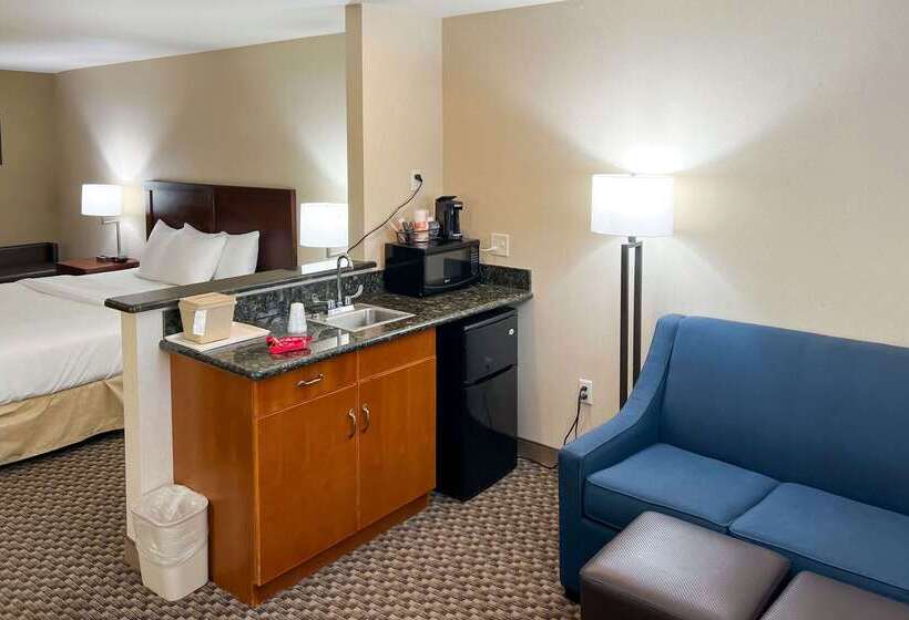 酒店 Comfort Inn & Suites Thatcher   Safford