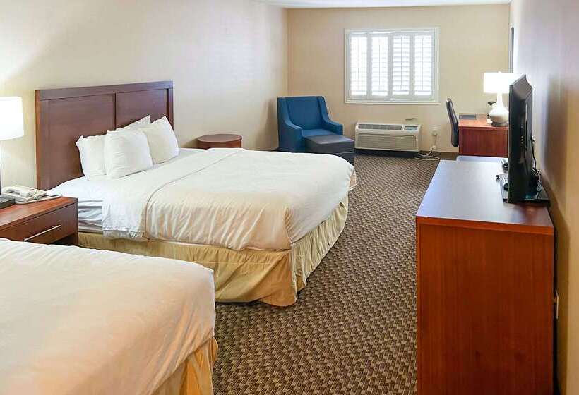 酒店 Comfort Inn & Suites Thatcher   Safford