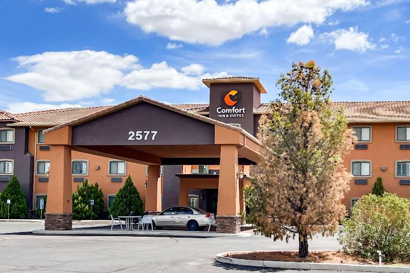 酒店 Comfort Inn & Suites Thatcher   Safford