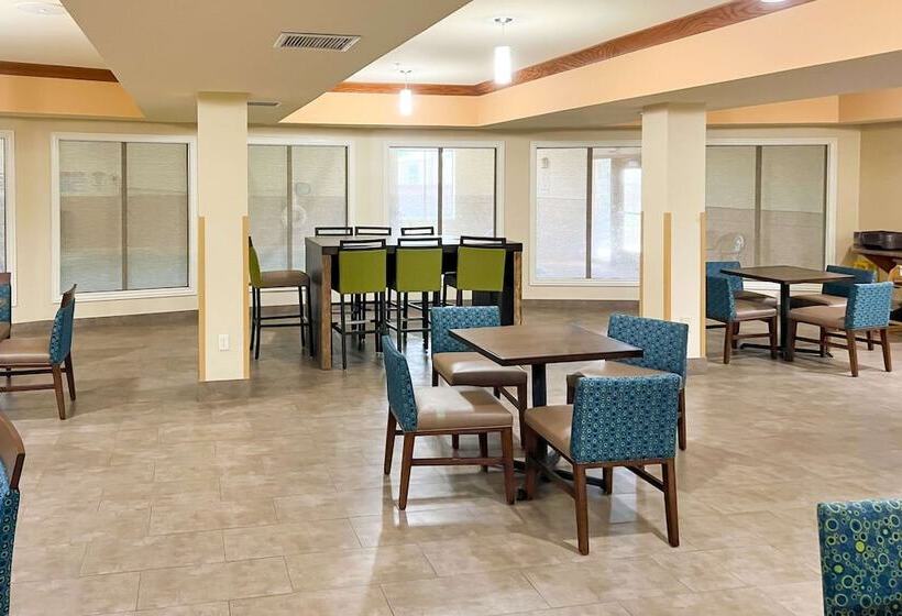 酒店 Comfort Inn & Suites Thatcher   Safford