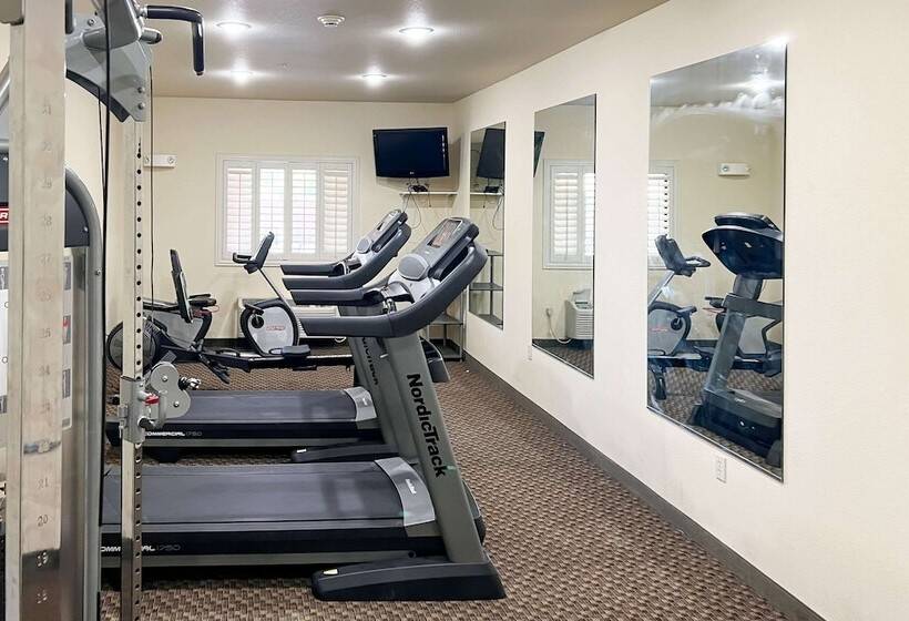 酒店 Comfort Inn & Suites Thatcher   Safford