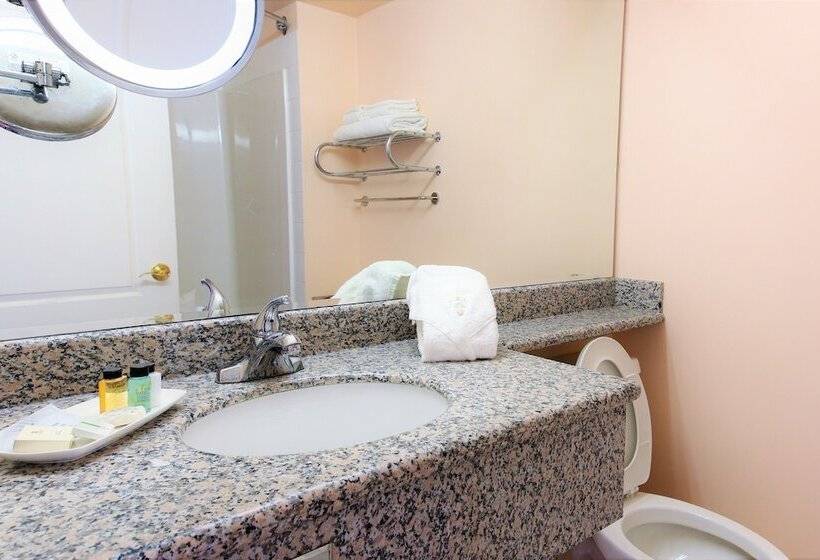 Szálloda Crystal Star Inn Edmonton Airport With Free Shuttle To And From Airport