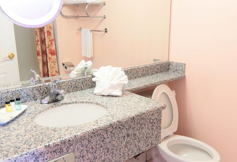 Szálloda Crystal Star Inn Edmonton Airport With Free Shuttle To And From Airport