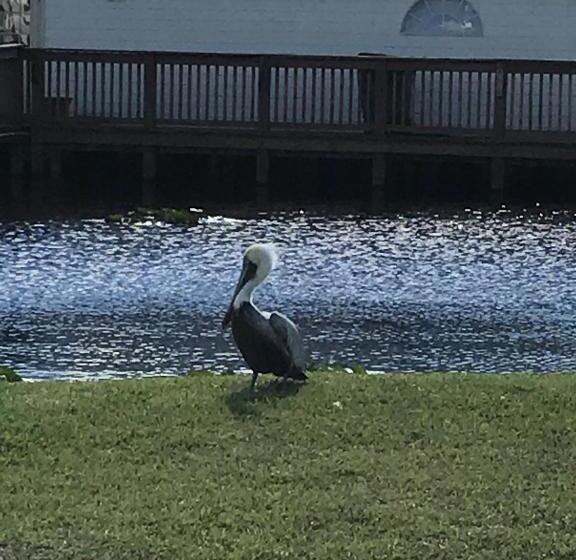 فندق Days Inn & Suites By Wyndham Lake Okeechobee