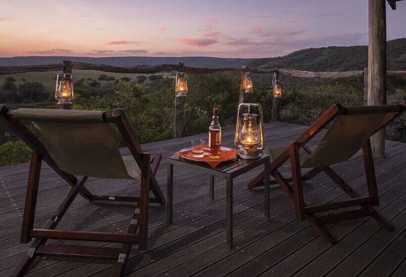 فندق Hillsnek Safari Camp   Amakhala Game Reserve