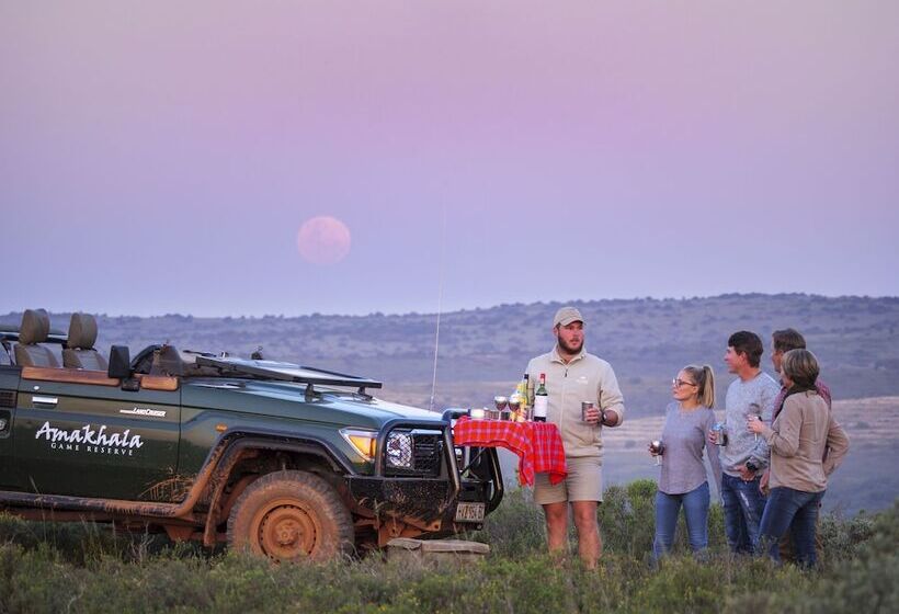 فندق Hillsnek Safari Camp   Amakhala Game Reserve