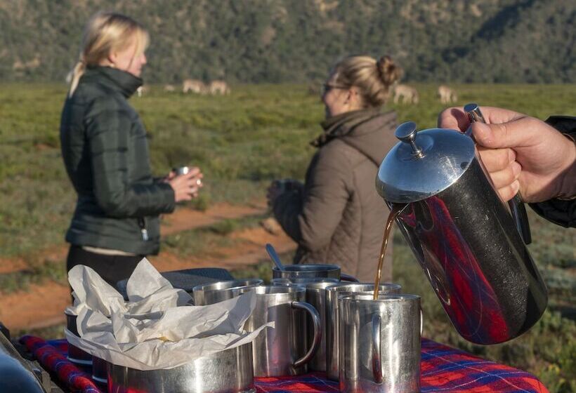 فندق Hillsnek Safari Camp   Amakhala Game Reserve