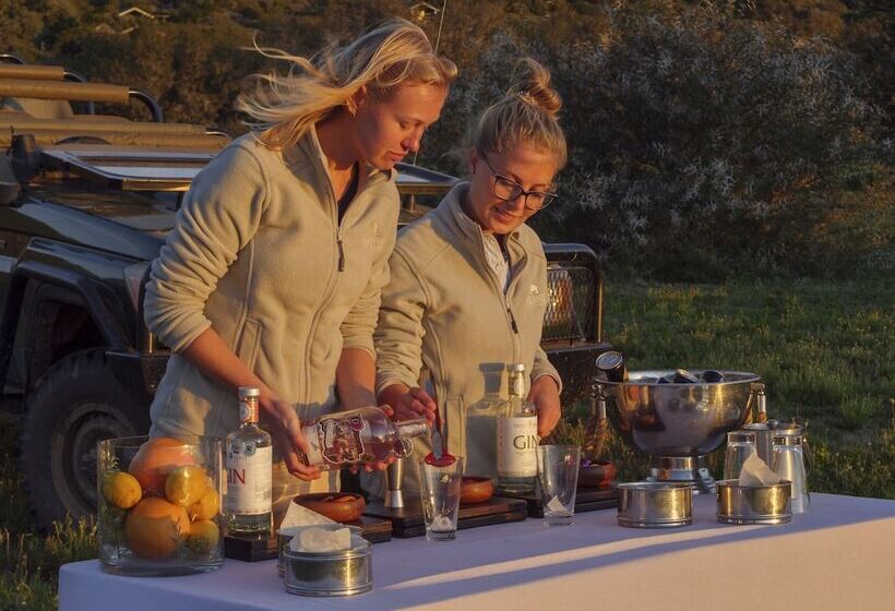 فندق Hillsnek Safari Camp   Amakhala Game Reserve