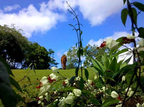 호텔 Hilltop Legacy Vacation Home