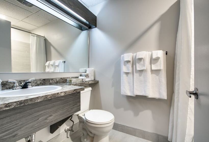 호텔 Hôtel Marineau Shawinigan