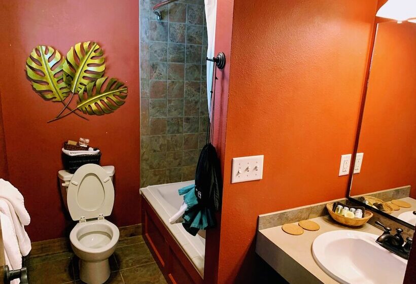 בית מלון כפרי Iowa House Historic Inn