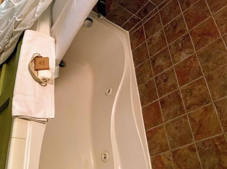 בית מלון כפרי Iowa House Historic Inn