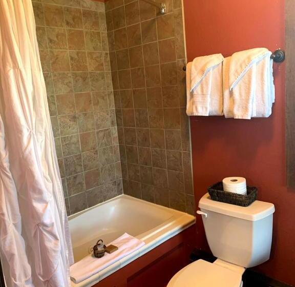 בית מלון כפרי Iowa House Historic Inn