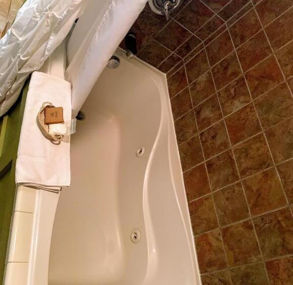 בית מלון כפרי Iowa House Historic Inn