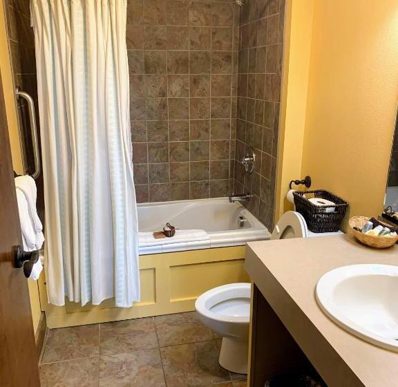 בית מלון כפרי Iowa House Historic Inn