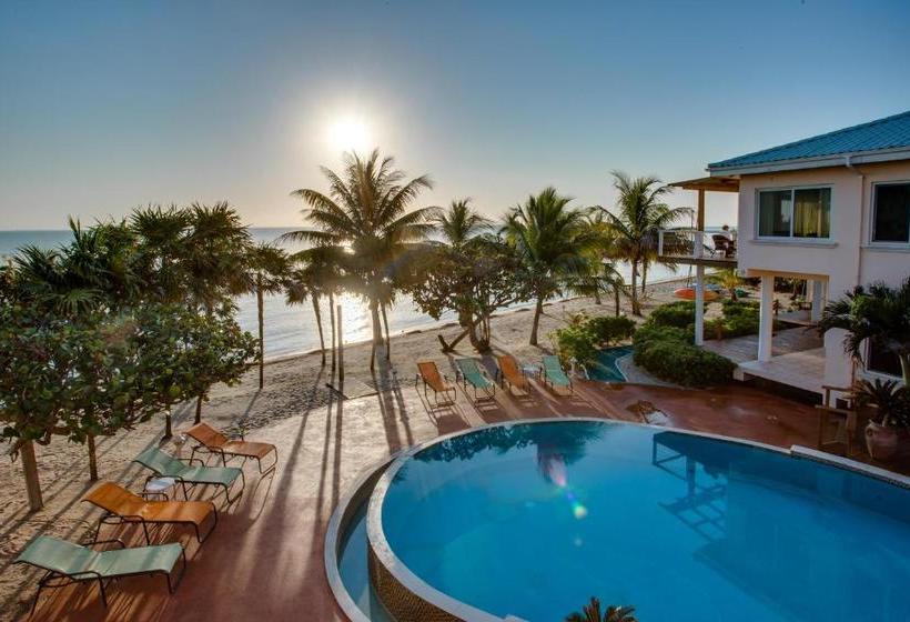 ホテル Laru Beya All Inclusive Resort