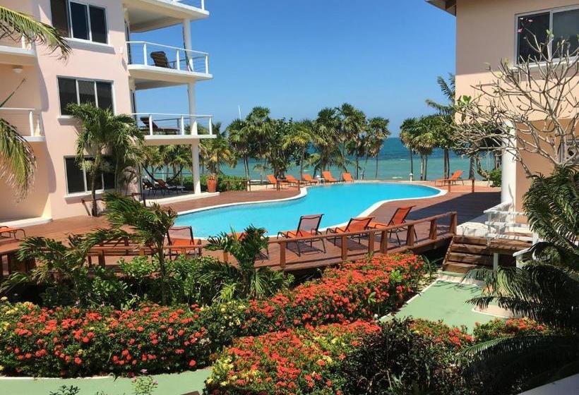 ホテル Laru Beya All Inclusive Resort