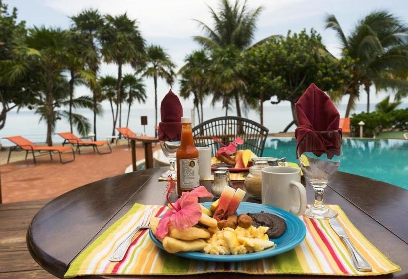 ホテル Laru Beya All Inclusive Resort