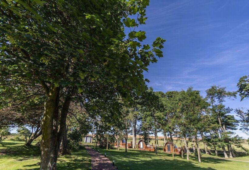 فندق Marshall Meadows Manor House