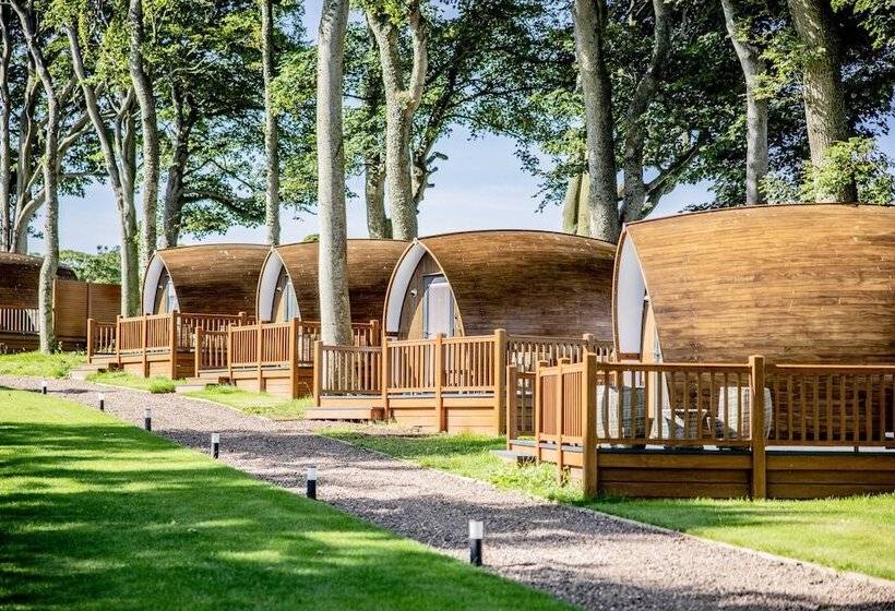 فندق Marshall Meadows Manor House