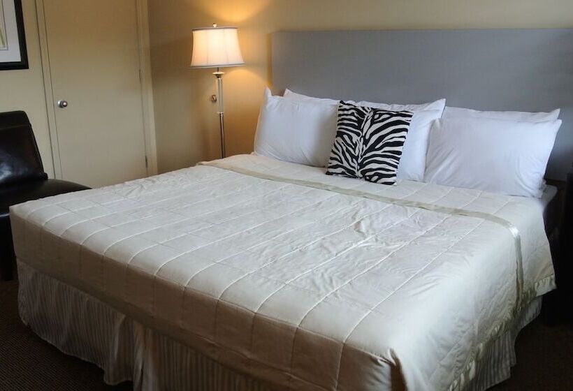 فندق Sole Inn And Suites