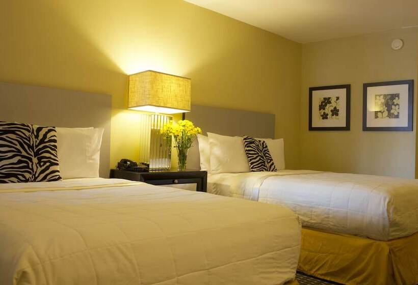 فندق Sole Inn And Suites