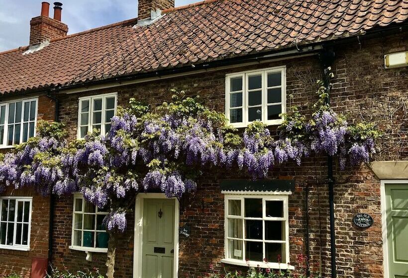 Отель The Durham Ox