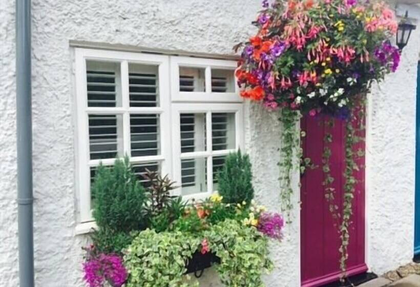 فندق The Swan Inn