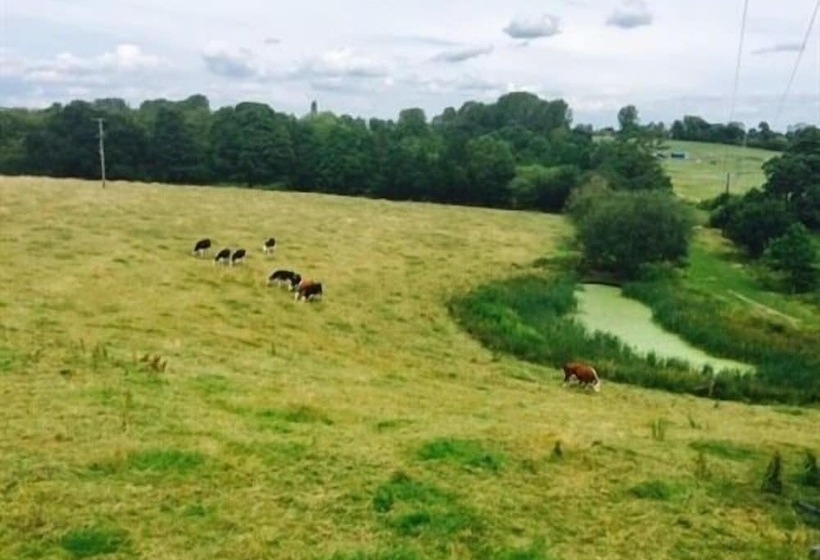 فندق The Swan Inn