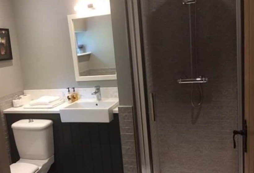 فندق The Swan Inn