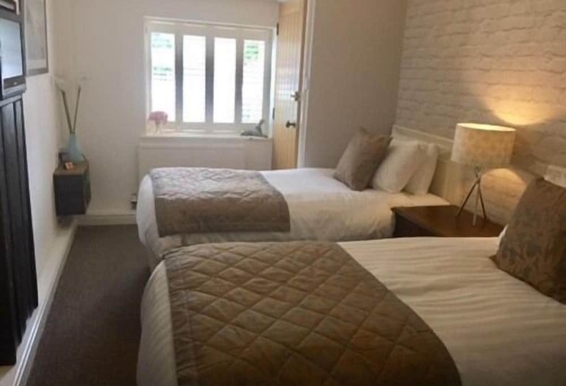 فندق The Swan Inn