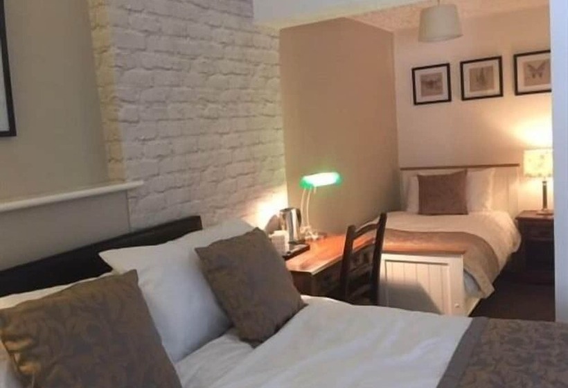 فندق The Swan Inn