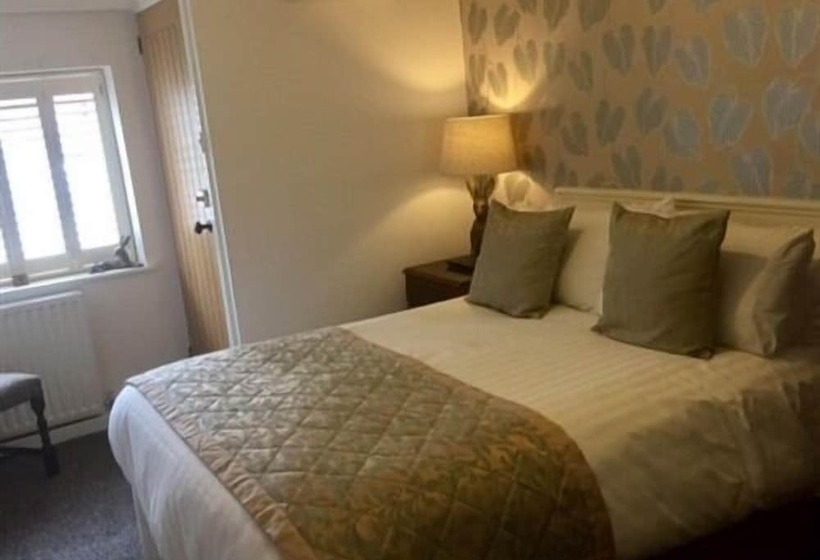 فندق The Swan Inn