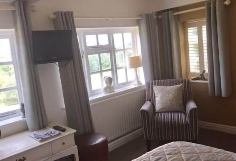 فندق The Swan Inn