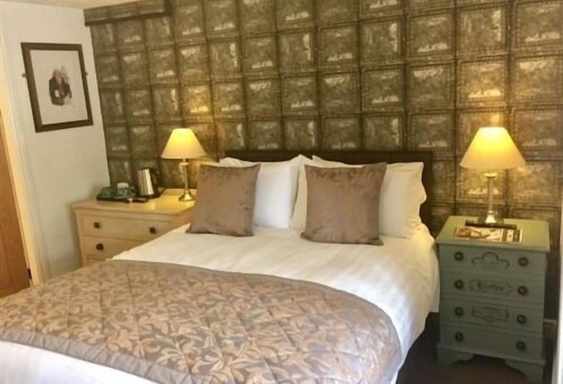 فندق The Swan Inn