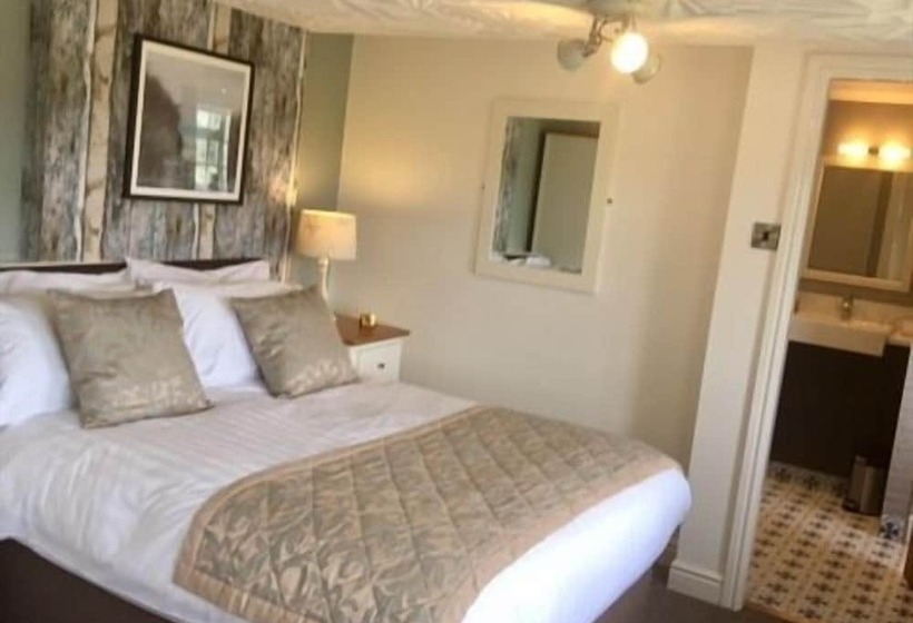 فندق The Swan Inn