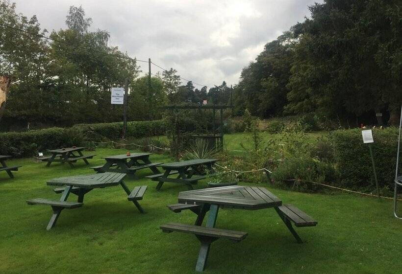 酒店 The Winchfield Inn