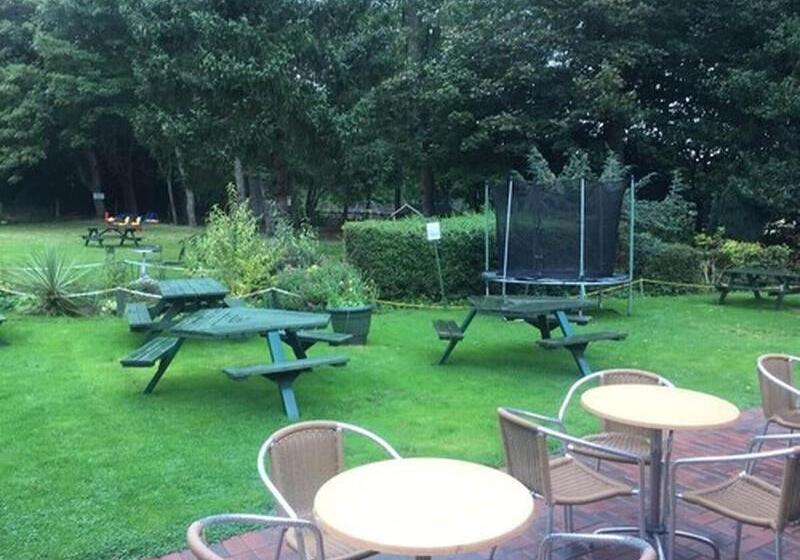 酒店 The Winchfield Inn